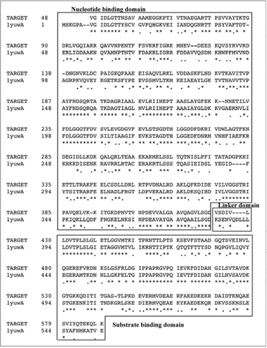 Figure 2 Sequence alignment of PgHsp70 and protein sequence corresponding to the template (1YUW). The domain regions such as nucleotide binding, linker and substrate binding are boxed and marked. Stars and dots in the sequences indicate the positions of identical amino acids and semi conserved substitutions, respectively.