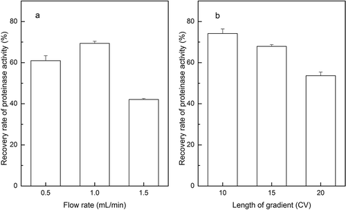 FIGURE 4 The yield of proteinase activity with different flow rates and length of gradient of HiTrap Butyl FF column chromatography. (a) Yield of proteinase activity with flow rates of 0.5, 1, and 1.5 mL/min; (b) yield of proteinase activity with 10, 15, and 20 CV length of gradient.