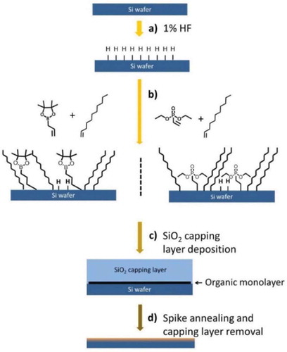 Figure 2. Process flow of mixed monolayer doping method [Citation21]. a) HF etching of native oxide to form a hydrogen-terminated surface; b) Surface functionalization with mixed precursors; c) SiO2 capping layer deposition; d) Thermal annealing for dopant diffusion and subsequent removal of capping layer with HF solution