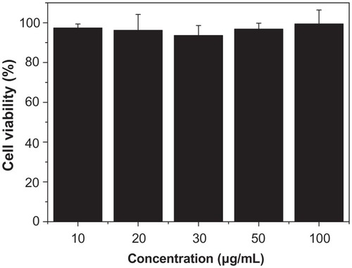 Figure 11 Viability of normal human fibroblasts incubated with hierarchically nanostructured hydroxyapatite at different concentrations.Notes: They were determined by counting the survival cells per well in comparison with untreated cells. The error bars denote standard deviations.