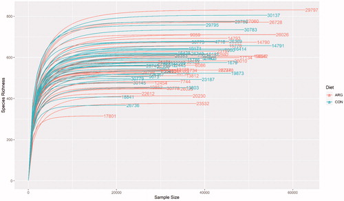 Figure 2. Rarefaction curve of samples resulted by sequencing of V3–V4 regions with MiSeq platform (Illumina Inc., San Diego, Ca, USA). Diet: ARG: arginine supplementation (0.25%) to sows during gestation period (36 sows); CON: control group, fed the standard diet (36 sows).