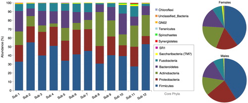 Fig. 2.  Distribution of phyla by subject and gender. Five core phyla (Firmicutes, Proteobacteria, Actinobacteria, Bacteroidetes and Fusobacteria) represented at least 96% of the reads. The females harbored higher proportions of Actinobacteria, TM7, Spirochaetes, and Synergistetes.