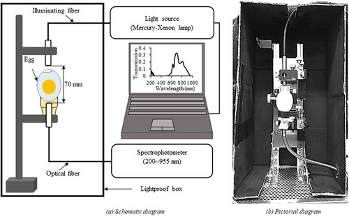 Figure 1. Schematic (a) and pictorial (b) diagrams of the spectral acquisition system.