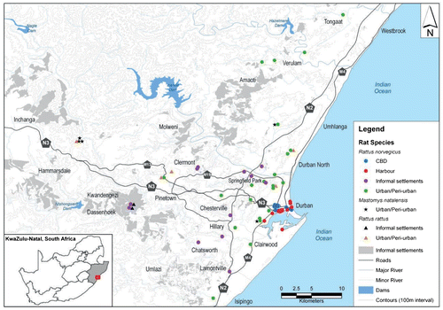 Figure 1: Map of Durban, eThekwini Metro, South Africa, showing study locations and rodents captured.