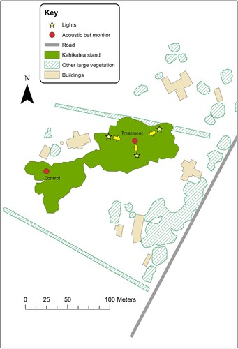 Figure 1. Site layout of lighting study conducted at Tamahere, North Island, New Zealand. Arrows denote the direction of illumination.