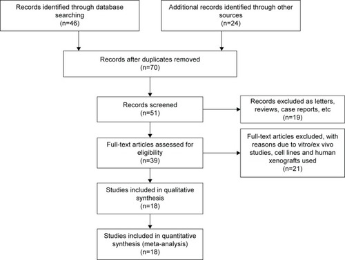 Figure 1 Flow chart of study selection.