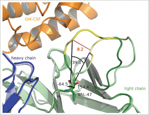 Figure 3. Cartoon representation of free MOR04357 (pale colors) and MOR04357 in complex with GM-CSF (dark colors). GM-CSF is presented in orange, the Ig light chain in green colors and the Ig heavy chain in blue colors. Respective CDR-L2 loops are presented in yellow and light yellow. Distances are given in angstrom and shown in red, angles are given in degree [°] and presented in black. Val-47 of both structures are shown as stick presentation. Val-47 undergoes a backbone flip from −64.5° to 154.4° when MOR04357 is bound to GM-CSF compared to the uncomplexed MOR04357. This backbone flip results in a shift of 8.2 Å of this loop toward GM-CSF along with a rotation by 39°.