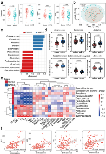 Figure 1. Microbial alterations in the control and NAFLD groups. (a) Alpha diversity analysis between the two groups. (b) Beta-diversity analysis showing different taxonomic compositions. (c) LEfSe depicting taxonomic association at the genus level. (d) Comparison of the relative abundance for the main detected genera. (e) Correlation analysis and hierarchical clustering of genus abundance with NAFLD-clinical indicators. (f) Linear regression analysis of the Enterococcus abundance and NAFLD-clinical indicators. Control (n = 78), NAFLD (n=78), error bars represented the mean ± SD, *p < .05, **p < .01.