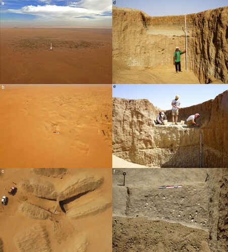 Figure 2. EDAR 135 and its vicinity: (a) the site’s location (arrow) within a large mining pit complex, seen from W; (b) the site and adjacent mining trenches; (c) two trenches seen from above with the profile in between. Note that the grid of excavated square metres extends from the left-hand side trench; (d) the profile before the upper level excavations, the layer of Unit IIA visible at approximately 2.5 m on the measuring rod; (e) the excavations, with traces from OSL sampling visible on the profile below; (f) the exposed MSA horizon at the top of Unit IIA. Photographs by M. Szmit (a–c) and M. Masojć.