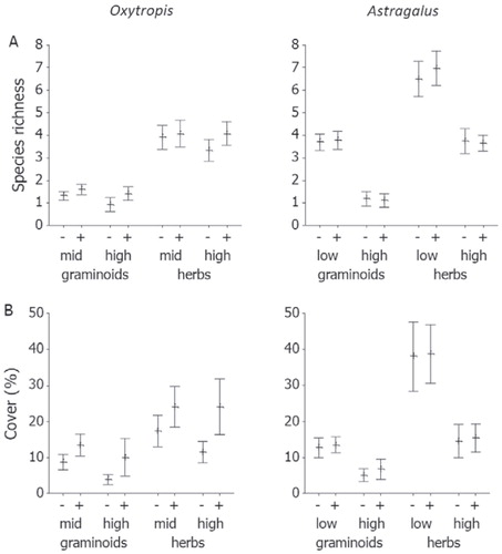FIGURE 3. (A) Species richness and (B) total cover (%) of graminoids and herbs in 15 × 15 cm plots with ( + ) and without (-) the legumes Oxytropis lapponica (left) and Astragalus alpinus (right) in the low-, mid-, and high-elevation study sites at Mount Sanddalsnuten, Finse, Norway, summer 2009. All figures show mean values with 95% CI. N = 30 except for Astragalus in the low-elevation site, where N = 29.
