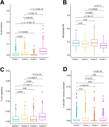 Figure 4. Tumor-infiltrating immune cells differ among clusters. Boxplots show significant differences in tumor-infiltrating memory B cells (A), M2 macrophages (B), regulatory T cells (C), and activated memory CD4+ T cells (D) among four clusters.