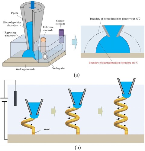 Figure 1. Printing process of CCLE: (a) schematic of CCLE; (b) voxel-by-voxel printing.