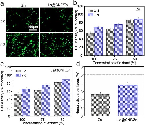 Figure 9. (a) Morphology of BMSCs after culture for 3 and 7 d; (b,c) The CCK-8 results with different concentrations of Zn and La@CNF/Zn extracts; (d) Haemolysis percentages.