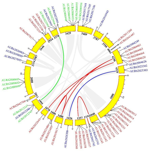 Figure 3. Distribution and duplication of segments of CqCYP76AD, CqDODA and CqGts genes in C. quinoa.
