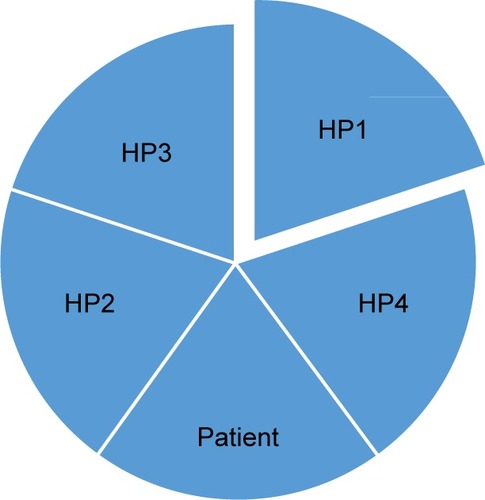 Figure 2 Graphical representation transdisciplinary model.