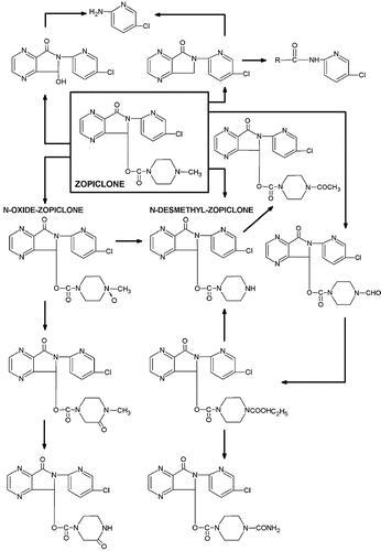 Fig. 1.  Metabolic pathways of zopiclone.