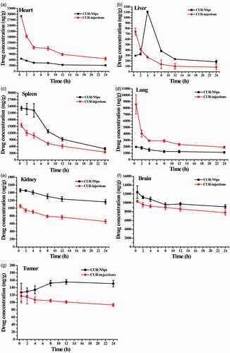 Figure 5. Biodistribution of CUR after intravenous administration of CUR-NSps and CUR injections in H22 tumor-bearing mice at the same dose of 8 mg/kg body weight (mean ± SD, n = 10).