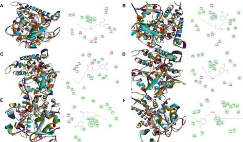 Figure 2 Binding modes of main active ginger components to human CYP1A2 (PDB code 2HI4).