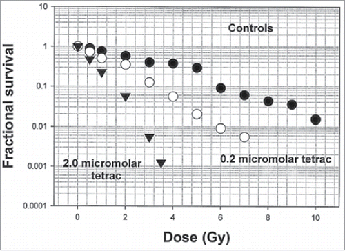 Figure 1. Survival of TE.354.T basal cell carcinoma cells in vitro after a 1 h exposure at 37°C to 2 different concentrations of tetraiodothyroacetic acid (0.2 and 2.0 µM tetrac) followed 1 h later by graded doses of 250 kVp x-irradiation.