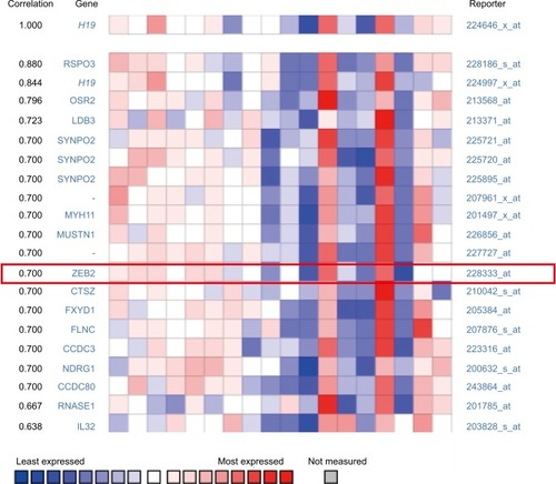Figure 2 H19 expression was significantly correlated with ZEB2 expression in thyroid carcinoma (shown in red frame, from ONCOMINE correlation analysis).