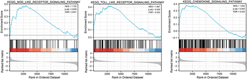 Figure 4. Gene set enrichment analysis (GSEA) was used to compare gene expression profiles related high-CALR and low-CALR. FDR, false discovery rate; NES, normalized enrichment score.
