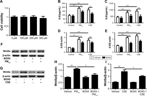Figure 5 Wnt5a antagonist downregulated levels of proinflammatory cytokines and Wnt5a.