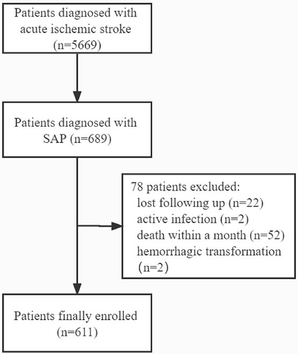 Figure 1 Flow chart of patients enrollment.