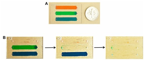 Figure 4 (A) Three different food dye solutions were injected into microchannels before performing wash steps. (B) Images of channels before and after wash steps indicated that food dye was removed from microchannels at a flow rate of 2 μL/minute.