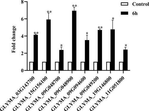 Figure 3. Expression pattern analysis of isoflavonoid biosynthesis related genes under alkaline stress. The seedlings were treated with 50 mmol/L NaHCO3 for 6 h. The transcript data results were analyzed using the 2–ΔΔCT method and one-way analysis of variance (ANOVA; *p < 0.05, **p < 0.01) followed by Duncan’s test. The expression levels are normalized relative to GAPDH gene in Glycine max. Data are mean values with standard deviation (±SD).