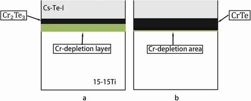 Figure 8. Illustrations of cross section of specimen, (a) before and (b) after the corrosion test.