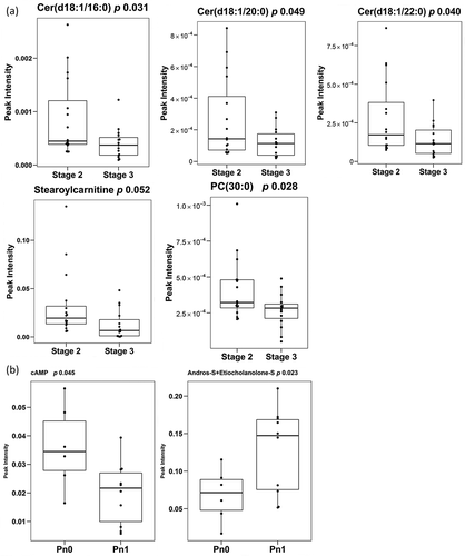 Figure 5. Differentially-expressed metabolites.Box-plots of differentially expressed metabolites between PCa stages (A) (stage 2 n = 16 and stage 3 n = 15) and of differentially expressed metabolites between the presence and absence of perineural invasion (B) (Pn0 n = 6 and Pn1 n = 10). Significance is indicated next to metabolite name.