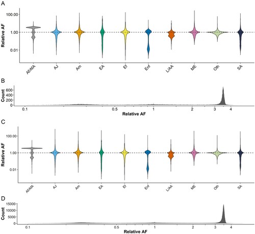 Figure 5. PopOff identified population bias in allelic frequency. Violin plots indicating the relative allelic frequency, defined as population allelic frequency divided by total allelic frequency, of variants overlapping with off-target loci for all gnomAD-defined populations for variants affecting off-target loci with a defined (NGG) A, or permissive C, PAM sequence. Populations are African/African-American (Af/AfA), Ashkenazi Jewish (AJ), Amish (Am), East Asian (EA), European Finnish (Ef), European Non-Finnish (Enf), Latino/Admixed-American (L/AA), Middle Eastern (ME), Other Populations (Oth), and South Asian (SA). B and D, show the Af/AfA data at a finer scale.