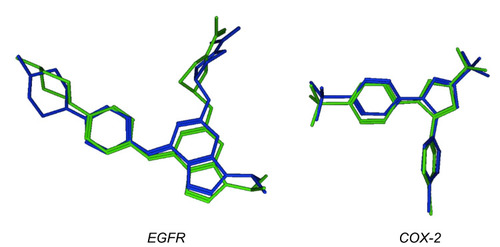 Figure 2 3D representation of the superimposed co-crystallized conformers (Blue sticks) and docked conformers (green sticks).