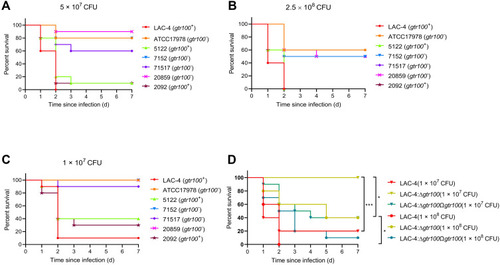 Figure 1 Virulence potential of Acinetobacter baumannii strains in a mouse infection model. (A–D) The effect of 2.5×108, 1×108, 5×107, 1×107 colony-forming units of each A. baumannii isolate (n=10; *P<0.05, **P<0.001, log-rank test) on survival was assessed in mouse. Strains 5122 and 2092 are two KL49 A. baumannii strains; 7152, 71517 and 20859 are KL3 A. baumannii strains. LAC-4 is a KL49 hypervirulent A. baumannii strain reported in a previous study. LAC-4:Δgtr100 is a gtr100 knockout strain. LAC-4:Δgtr100Ωgtr100 is complemented strain. ATCC17978 is a KL3 A. baumannii strain.