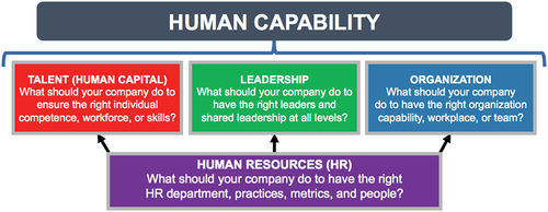 Figure 2. Human capability framework.