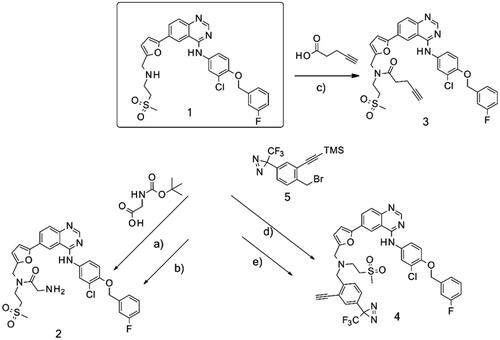 Scheme 1. Synthetic approach to synthesised analogues of lapatinib. Reagents and conditions: (a) PS-CDI, HOBT, DIPEA, DCM, DMF, rt; (b) TFA, DCM, rt; (c) PS-CDI, HOBT, DIPEA, DCM, DMF, rt; (d) NaH, DMF, rt; (e) K2CO3, MeOH, rt.