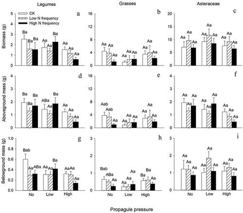 Figure 4. Effects of the frequency of nitrogen addition and propagule pressure on biomass (mean ± SE, n = 6) of each functional group: legumes (A, D, G); grasses (B, E, H); forbs (C, F, I). Different capital letters indicate significant differences among propagule pressure, and lowercase letters indicate significant differences among the frequency of nitrogen addition.