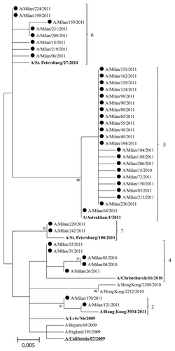 Figure 4. Phylogenetic tree based on A(H1N1)pdm09 viruses HA1 amino acid sequences. Only bootstrap values above 70% value are shown. The reference viruses are in bold. The vaccine A(H1N1) virus for the 2010–2011, 2011–2012, and 2012–2013 seasons (A/California/07/2009) is underlined.