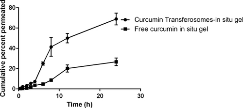 Figure 10 Profile of ex vivo transport of the optimum curcumin transferosomes-loaded intranasal in-situ gel in comparison to free curcumin in-situ gel in SNF, pH 5.5, 5% tween 80 at 37 °C (findings displayed as average ± SD, n = 3).