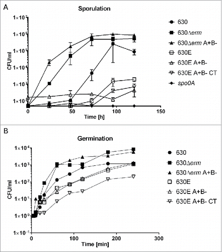 Figure 3. Sporulation and Germination. A. Sporulation over 120 h comparing heat treated CFUs of strains 630, 630Δerm, 630Δerm A+B-, 630E, 630E A+B- and 630E A+B- CT with a non-sporulating control (spo0A). B. The extent of germination of the indicated strains was measured over 250 min as the ability of germinated spores to form colonies on plates lacking taurocholate.