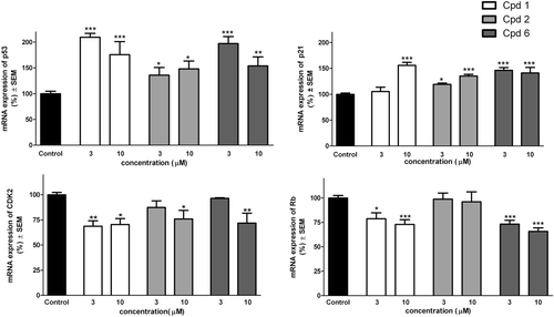 Figure 3.  Expression of p53, p21, CDK2 and Rb mRNA after incubation for 24 h with compounds 1, 2 and 6. *, ** and *** indicate p < 0.05, p < 0.01 and p < 0.001, respectively, as compared with the control conditions.