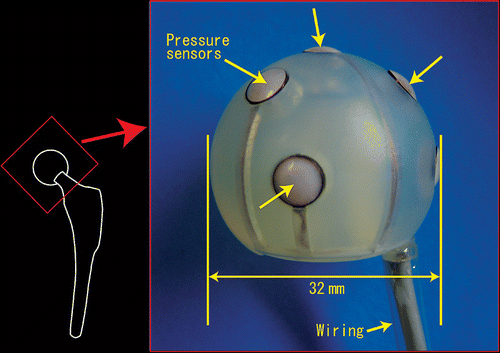 Figure 2. The physical model of the femoral head component manufactured from the CAD data in plastic using a laminate molding technique. All sensors and wiring are collected within the head component, which has a diameter of 32 mm. [Color version available online.]