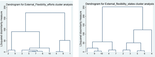 Figure 3. Dendrogram for cluster analysis of country efforts and states in the case of external numerical flexibility Source: Author’s research.