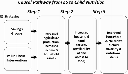 Figure 1. Causal pathway from economic strengthening to child nutrition.