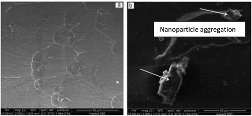 Figure 5. Scanning electron microscope (A) PMMA without nanoparticles, (B) PMMA with nanoparticle aggregations (Kamonkhantikul et al., Citation2017)