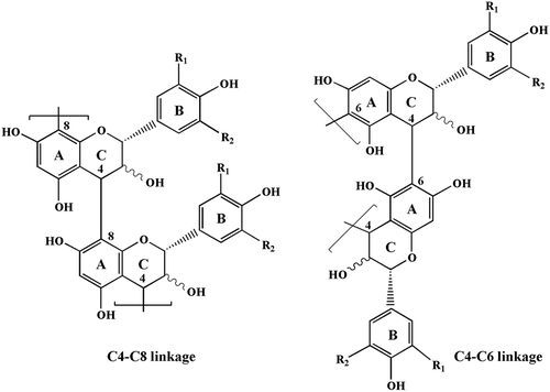 Figure 1. Chemical structure of proanthocyanidin polymers: R1, R2 = H, propelargonidins; R1 = OH, R2 = H, procyanidins; R1, R2 = OH, prodelphinidins.