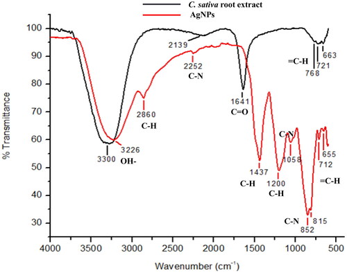 Figure 3. FT-IR spectra of Cannabis sativa roots extract and biosynthesized AgNPs depicting major functional groups.
