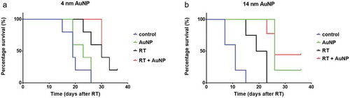 Figure 4. Effect of AuNPs and AuNP enhanced RT on survival