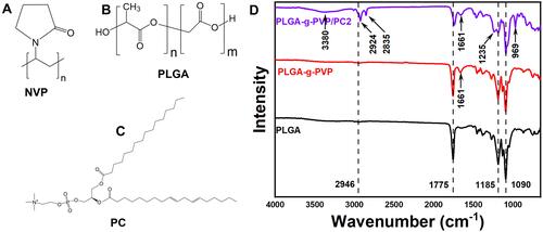 Figure 1 The chemical structural formulas of NVP (A), PLGA (B), and PC (C). (D) FTIR spectra of PLGA NFm, PLGA-g-PVP NFm, and PLGA-g-PVP/PC2 NFm.