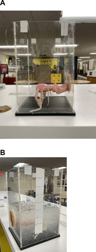 Figure 2 Synthetic vaginal model in a sealed acrylic case (A) with the addition of gel to simulate intravaginal pressures (B).